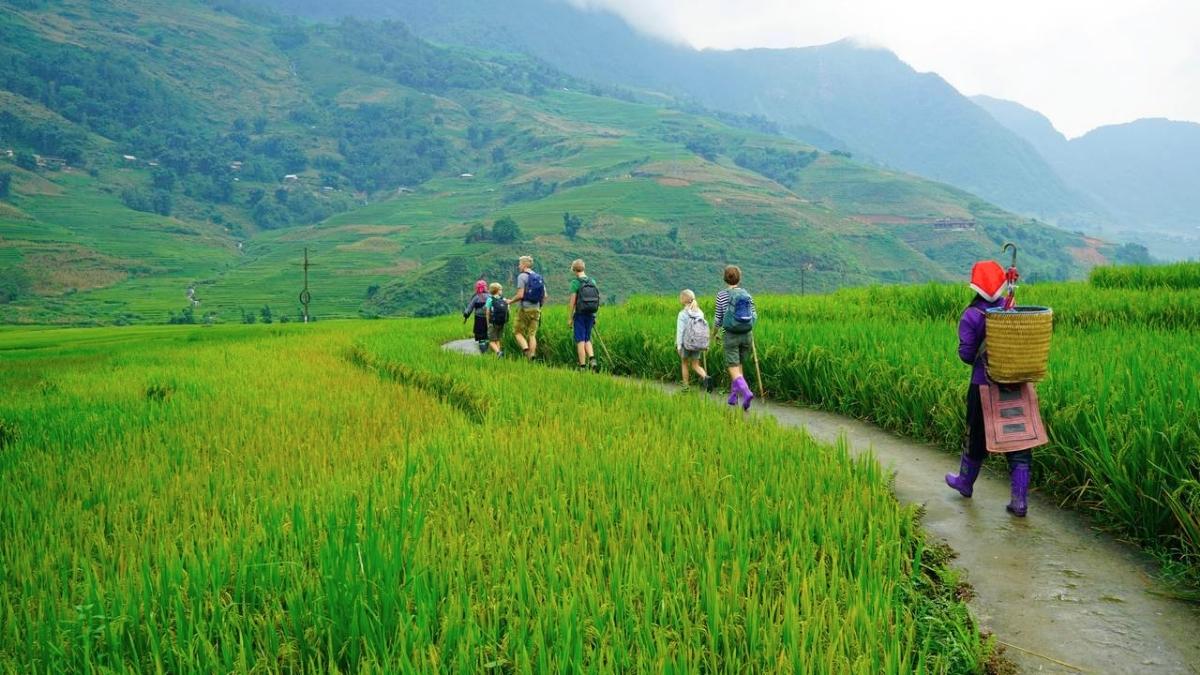 Day 1: Sapa - Y Linh Ho - Lao Chai - Ta Van Village 