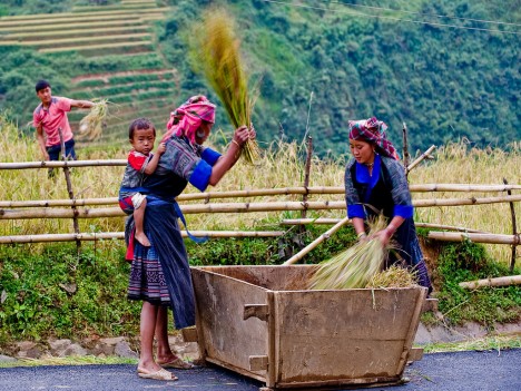 Day 2: Ta Van - Giang Ta Chai - Supan Village - Sapa 